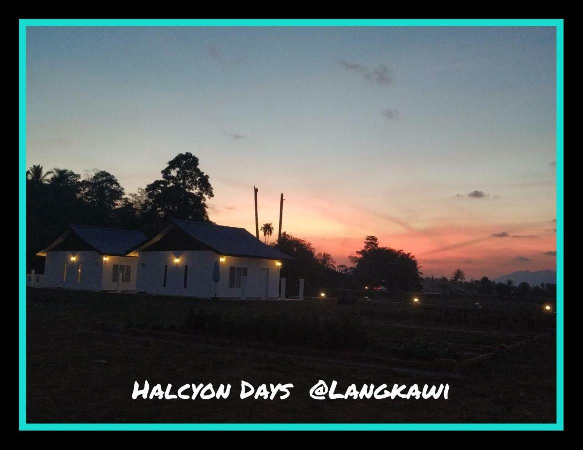 דירות פנתאי צנאנג Halcyon Days @ Langkawi מראה חיצוני תמונה