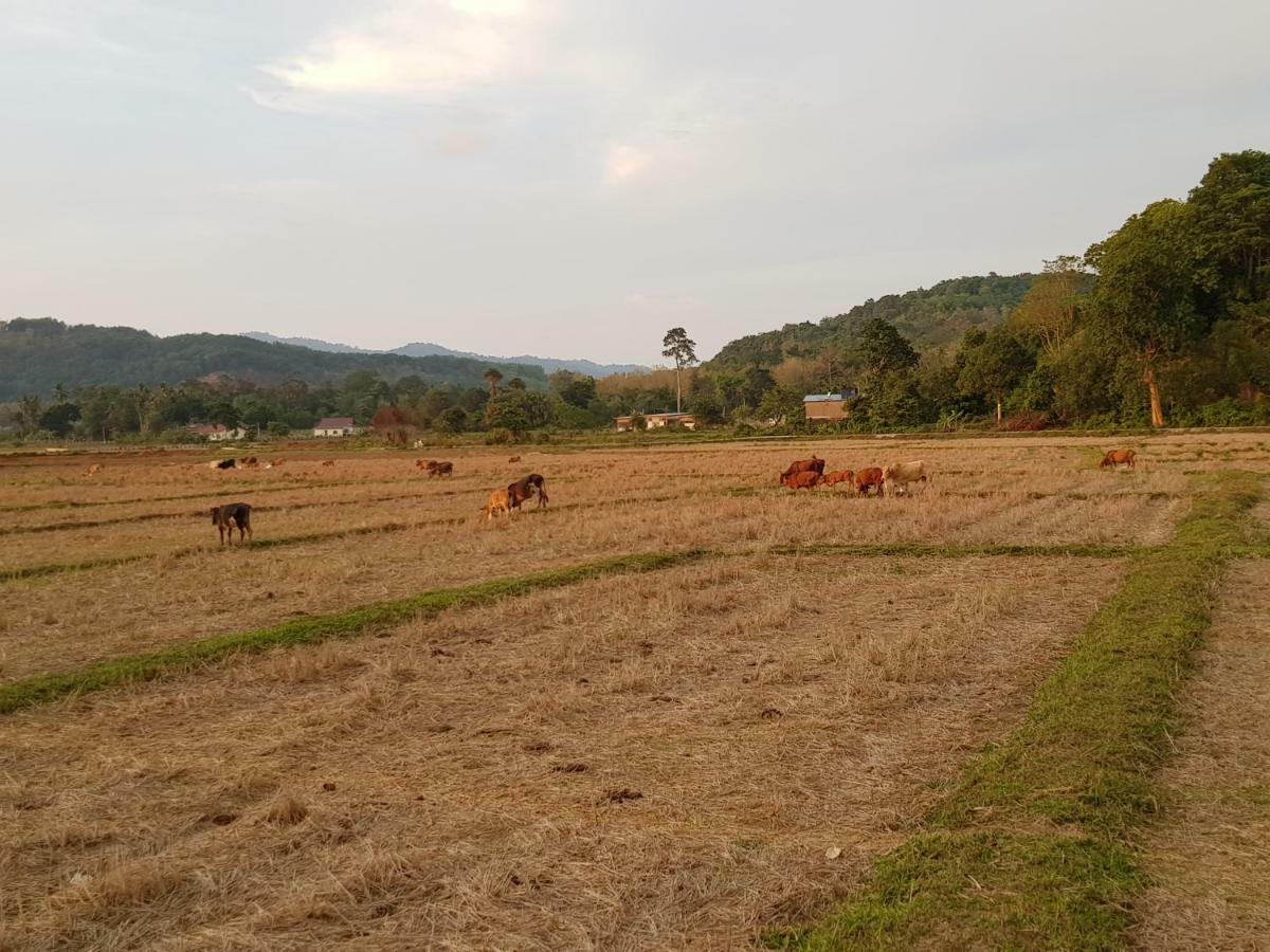 דירות פנתאי צנאנג Halcyon Days @ Langkawi מראה חיצוני תמונה